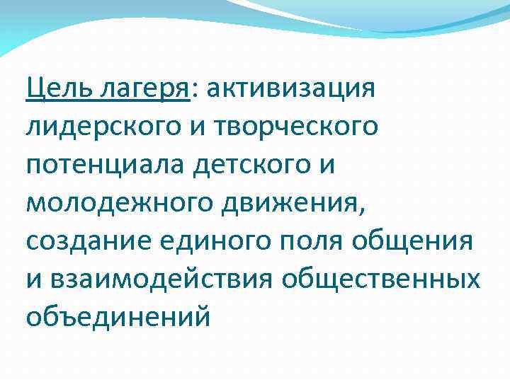 Цель лагеря: активизация лидерского и творческого потенциала детского и молодежного движения, создание единого поля