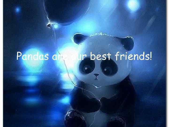 Pandas are our best friends! 