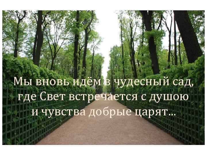 Мы вновь идём в чудесный сад, где Свет встречается с душою и чувства добрые