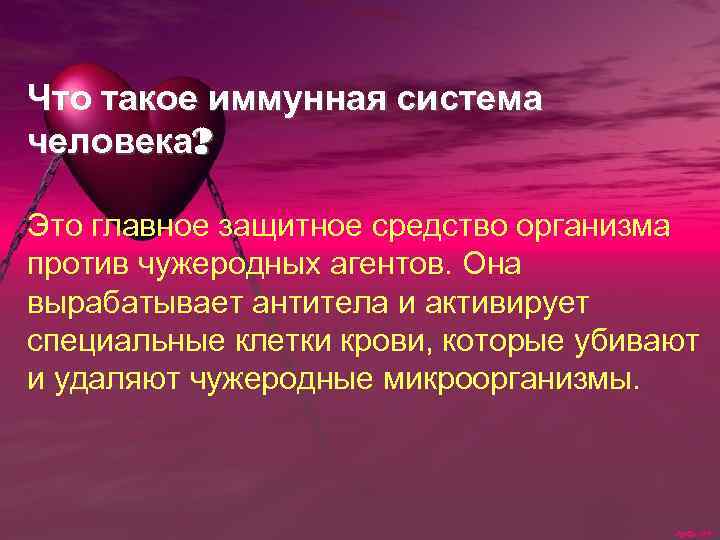 Что такое иммунная система человека? Это главное защитное средство организма против чужеродных агентов. Она