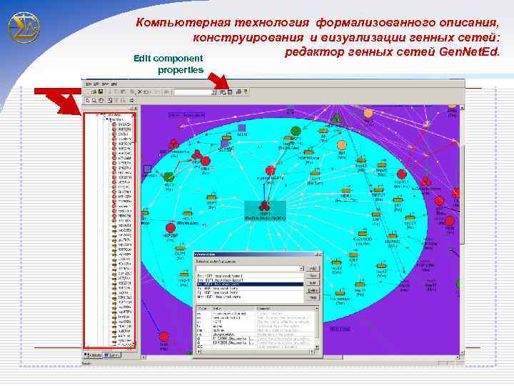 Компьютерная технология формализованного описания, конструирования и визуализации генных сетей: редактор генных сетей Gen. Net.