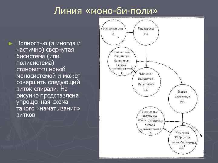 Линия «моно-би-поли» ► Полностью (а иногда и частично) свернутая бисистема (или полисистема) становится новой