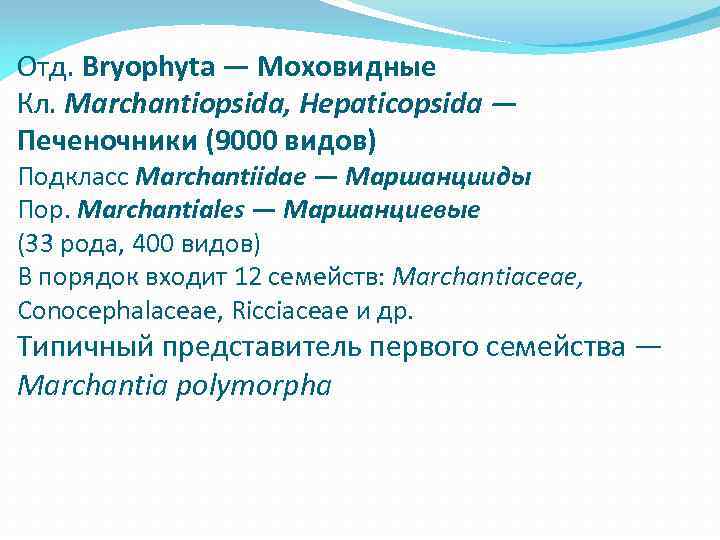 Отд. Bryophyta — Моховидные Кл. Marchantiopsida, Hepaticopsida — Печеночники (9000 видов) Подкласс Marchantiidae —