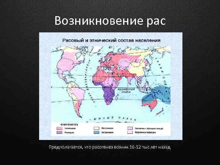 Возникновение рас Предполагается, что расогенез возник 16 -12 тыс лет назад 