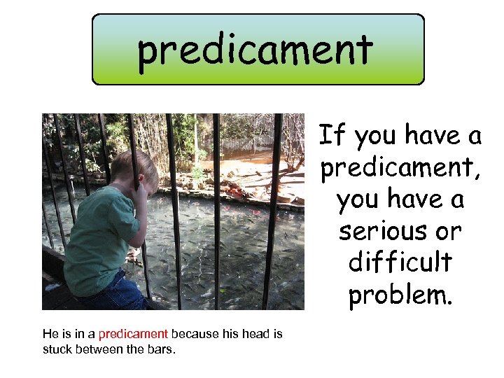 predicament If you have a predicament, you have a serious or difficult problem. He