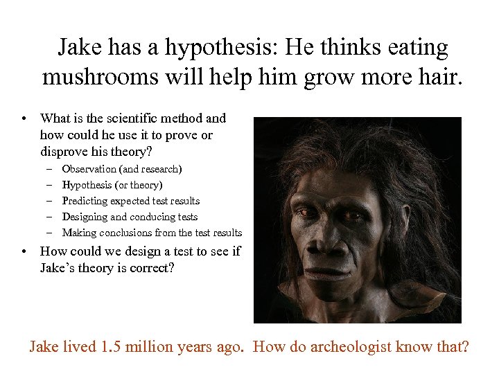 Jake has a hypothesis: He thinks eating mushrooms will help him grow more hair.