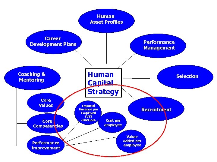 Human Asset Profiles Career Development Plans Coaching & Mentoring Core Values Core Competencies Performance