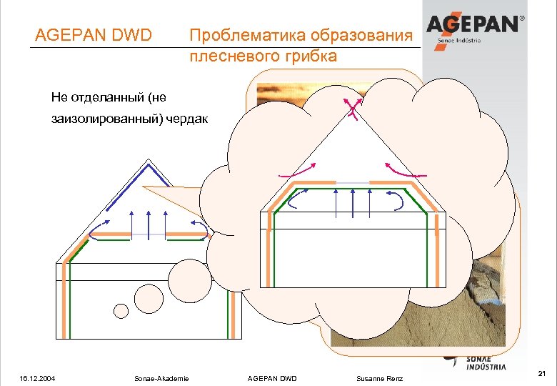 AGEPAN DWD Проблематика образования плесневого грибка Не отделанный (не заизолированный) чердак 16. 12. 2004