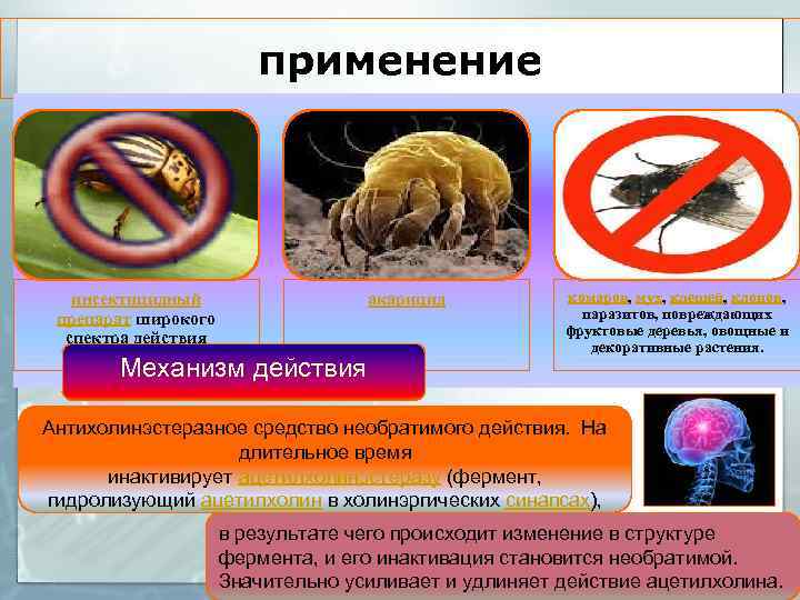 применение инсектицидный препарат широкого спектра действия Механизм действия акарицид комаров, мух, клещей, клопов, паразитов,