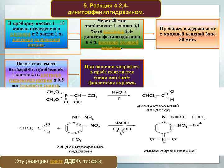 5. Реакция с 2, 4 динитрофенилгидразином. В пробирку вносят 1— 10 капель исследуемого раствора
