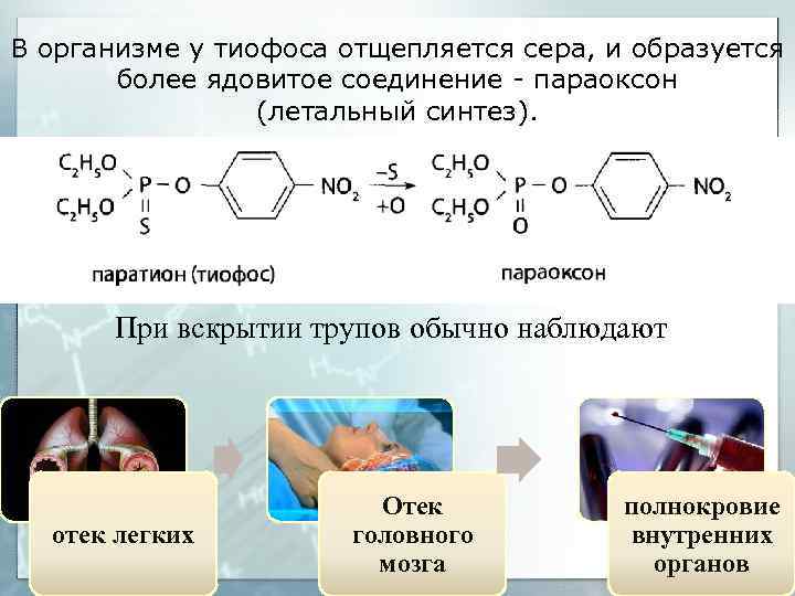 В организме у тиофоса отщепляется сера, и образуется более ядовитое соединение - параоксон (летальный