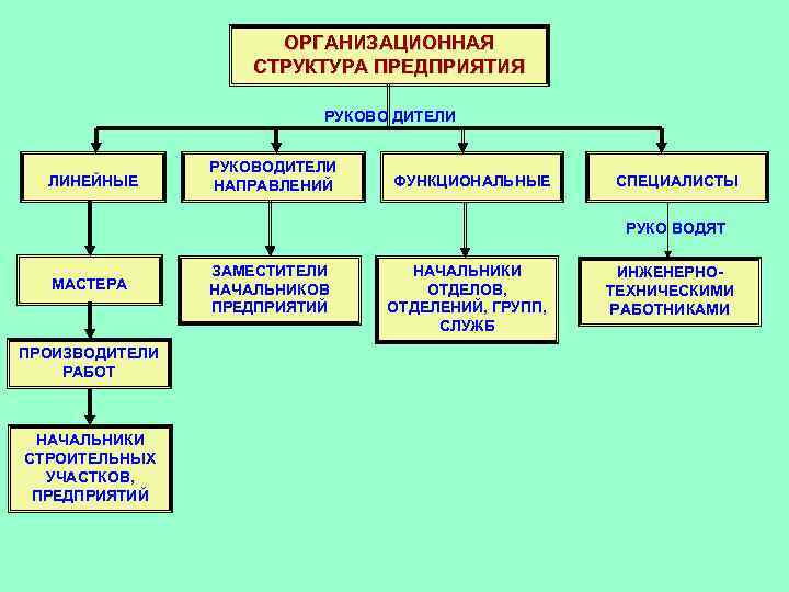 ОРГАНИЗАЦИОННАЯ СТРУКТУРА ПРЕДПРИЯТИЯ РУКОВО ДИТЕЛИ ЛИНЕЙНЫЕ РУКОВОДИТЕЛИ НАПРАВЛЕНИЙ ФУНКЦИОНАЛЬНЫЕ СПЕЦИАЛИСТЫ РУКО ВОДЯТ МАСТЕРА ПРОИЗВОДИТЕЛИ
