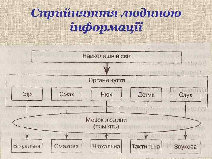 Сприйняття людиною інформації 