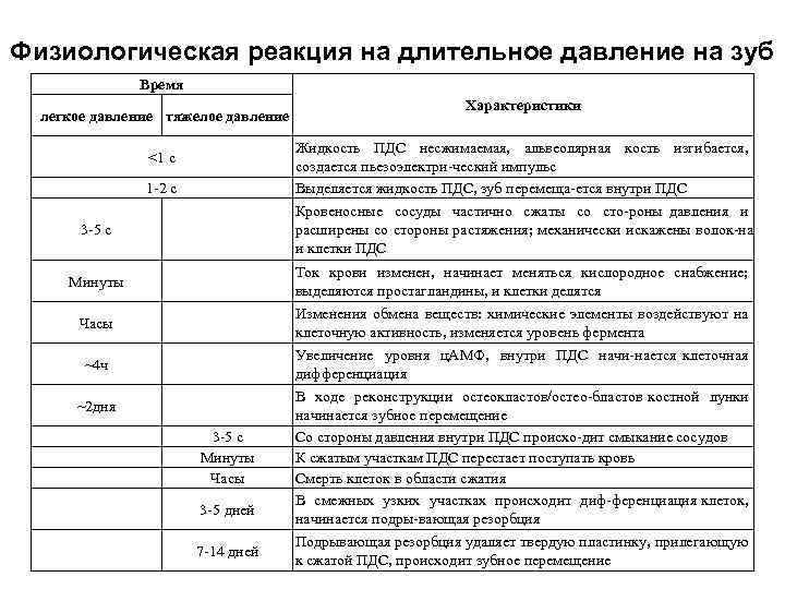 Физиологическая реакция на длительное давление на зуб Время легкое давление тяжелое давление Характеристики Жидкость