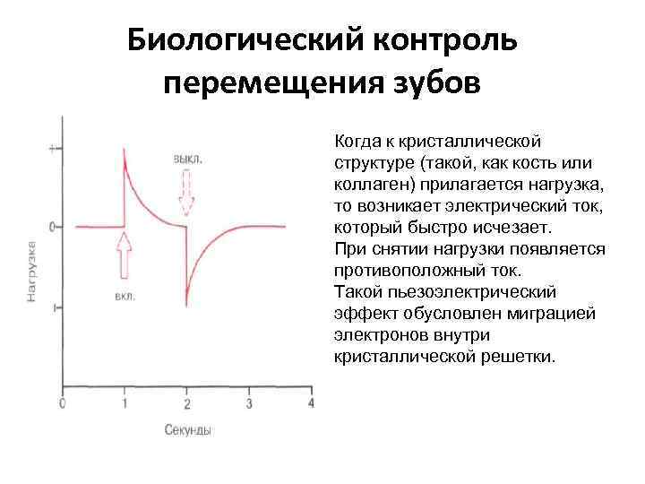 Биологический контроль перемещения зубов Когда к кристаллической структуре (такой, как кость или коллаген) прилагается