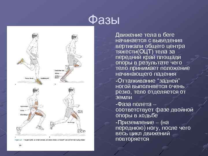 Начальное и конечное положение тела