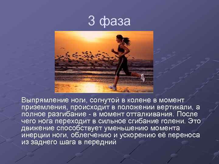 3 фаза Выпрямление ноги, согнутой в колене в момент приземления, происходит в положении вертикали,