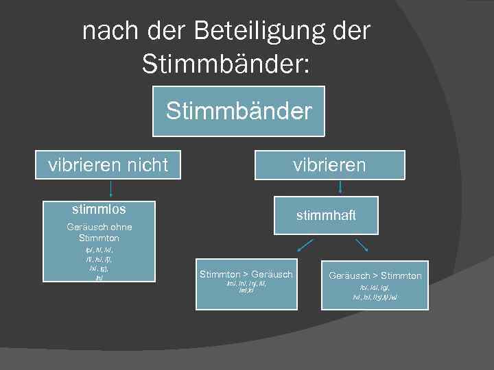 nach der Beteiligung der Stimmbänder: Stimmbänder vibrieren nicht vibrieren stimmlos stimmhaft Geräusch ohne Stimmton