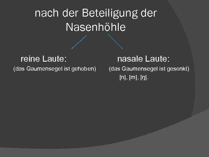 nach der Beteiligung der Nasenhöhle reine Laute: (das Gaumensegel ist gehoben) nasale Laute: (das