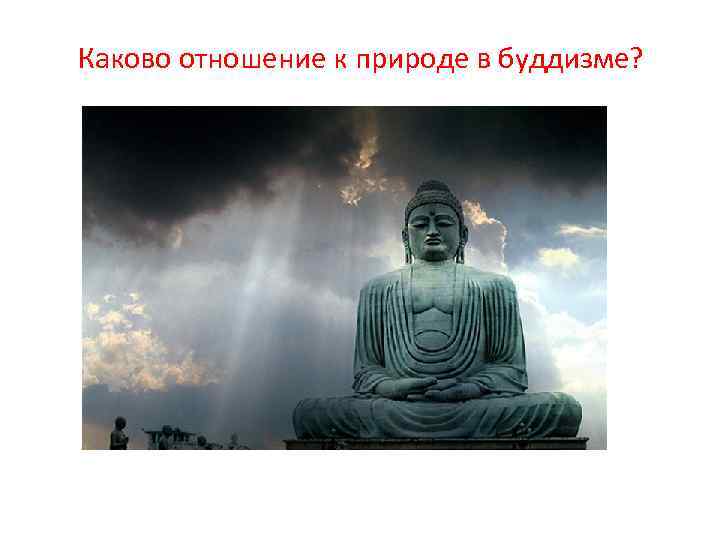 Каково отношение к природе в буддизме? 
