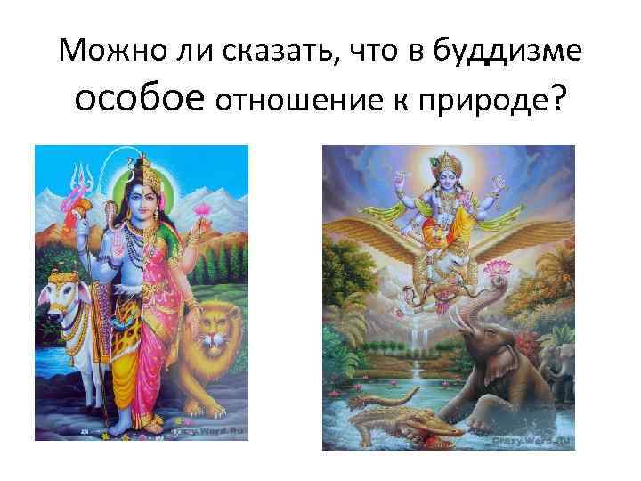 Можно ли сказать, что в буддизме особое отношение к природе? 