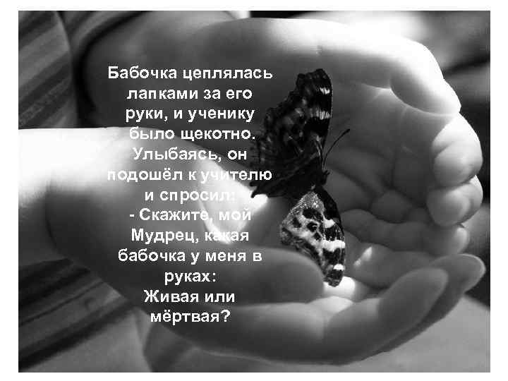 Бабочка цеплялась лапками за его руки, и ученику было щекотно. Улыбаясь, он подошёл к