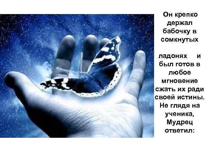  Он крепко держал бабочку в сомкнутых ладонях и был готов в любое мгновение