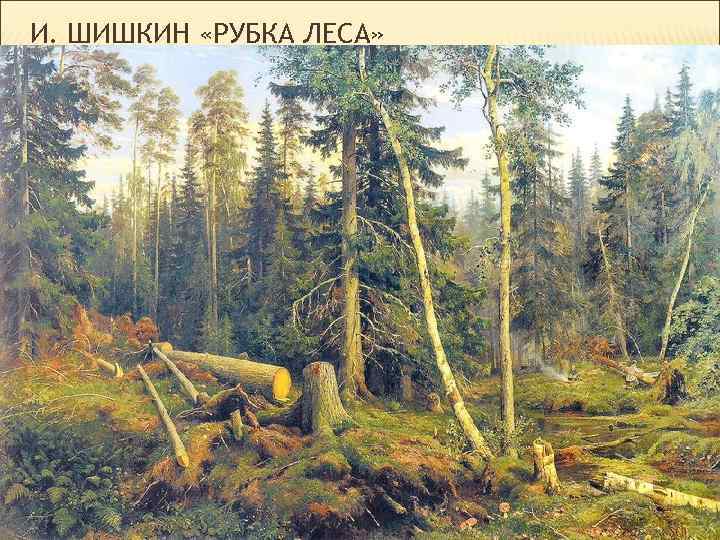 И. ШИШКИН «РУБКА ЛЕСА» 