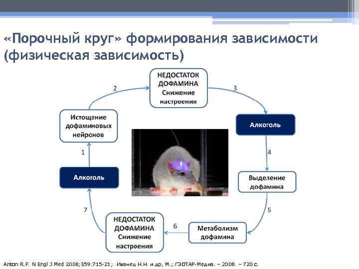 Порочный это. Схема формирования зависимости. Механизм формирования физической зависимости. Круг формирования зависимости. Порочный круг при алкоголизме.