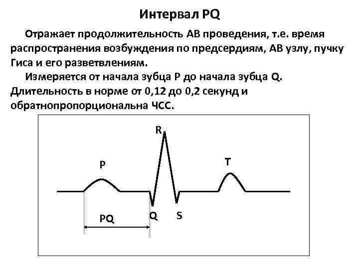 Норма экг время