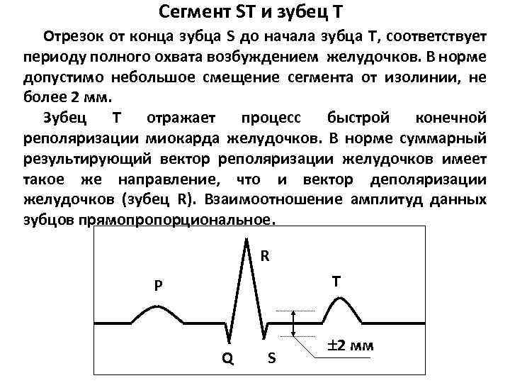 Зубцы и сегменты экг