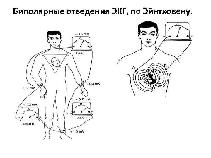 Электрография экг один из важных методов исследования. Биполярные и униполярные отведения ЭКГ. Отведения ЭКГ по Эйнтховену. Униполярные отведения ЭКГ. Стандартные биполярные отведения ЭКГ это.