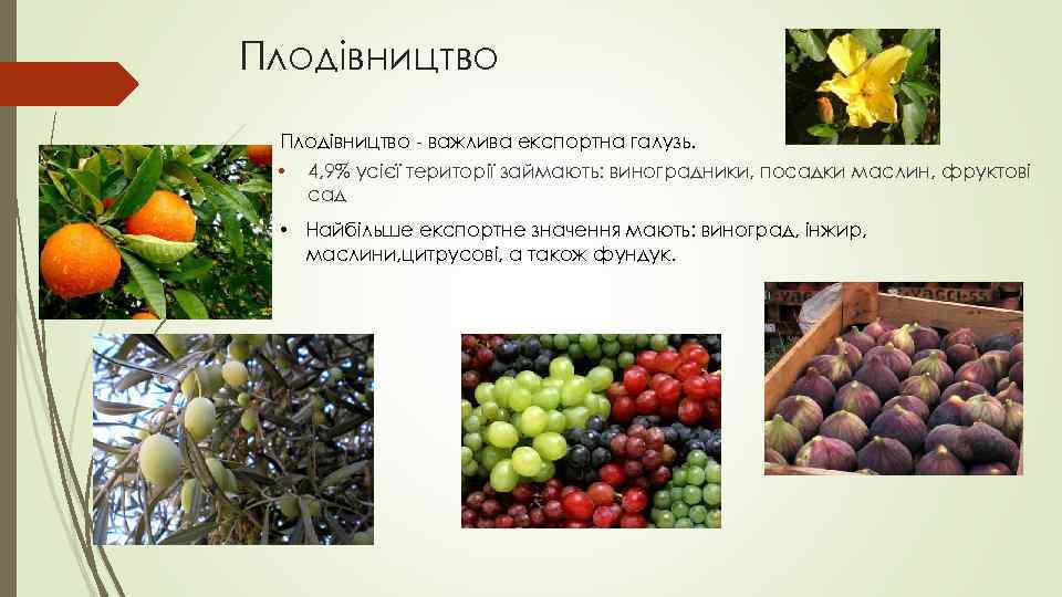 Плодівництво - важлива експортна галузь. • 4, 9% усієї території займають: виноградники, посадки маслин,