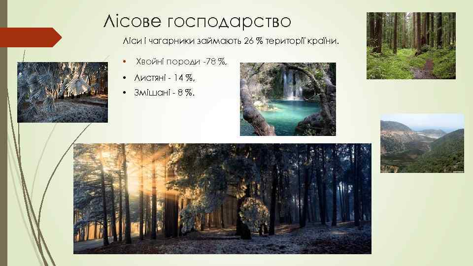 Лісове господарство Ліси і чагарники займають 26 % території країни. • Хвойні породи -78