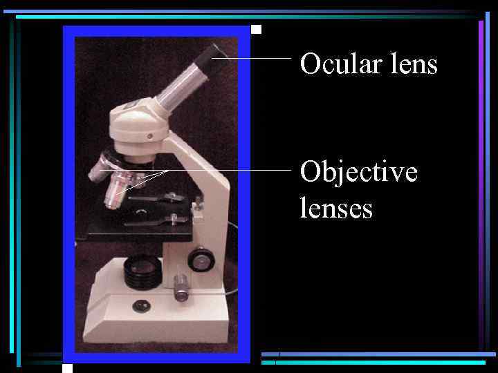 Ocular lens Objective lenses 