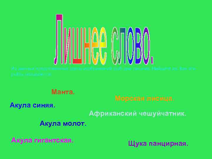 Из данных предложенных здесь изображений рыб два лишних. Найдите их. Как эти рыбы называются.