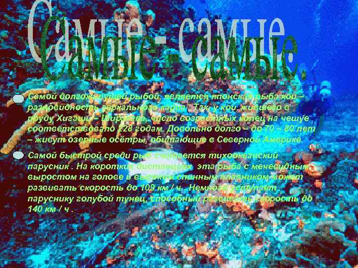 Самой долгоживущей рыбой, является японская рыба кои – разновидность зеркального карпа. Так, у кои,