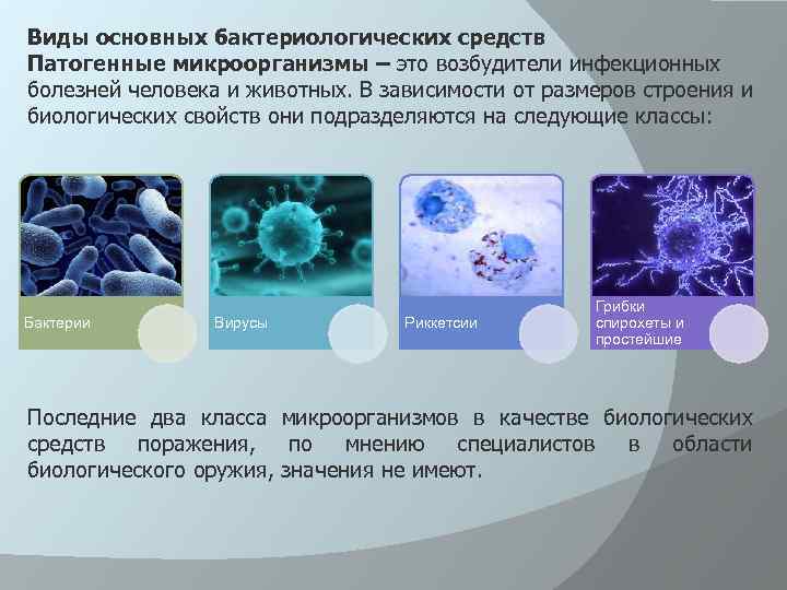 Работы с патогенными микроорганизмами