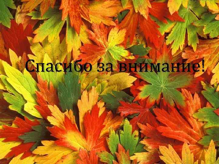 Спасибо за внимание! 