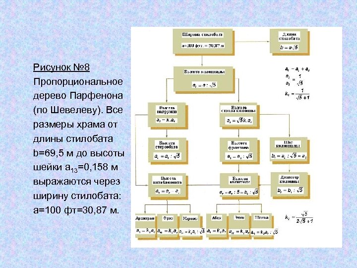 Рисунок № 8 Пропорциональное дерево Парфенона (по Шевелеву). Все размеры храма от длины стилобата