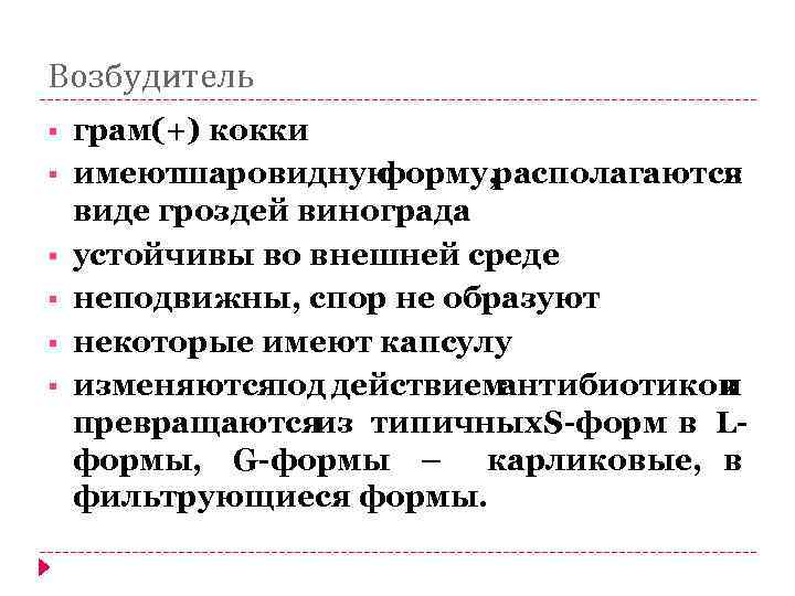 Возбудитель § § § грам(+) кокки имеютшаровидную форму, располагаются в виде гроздей винограда устойчивы