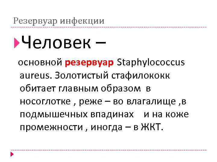 Резервуар инфекции Человек – основной резервуар Staphylococcus aureus. Золотистый стафилококк обитает главным образом в