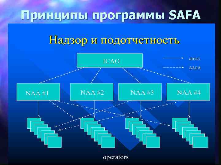 Принципы программы SAFA 