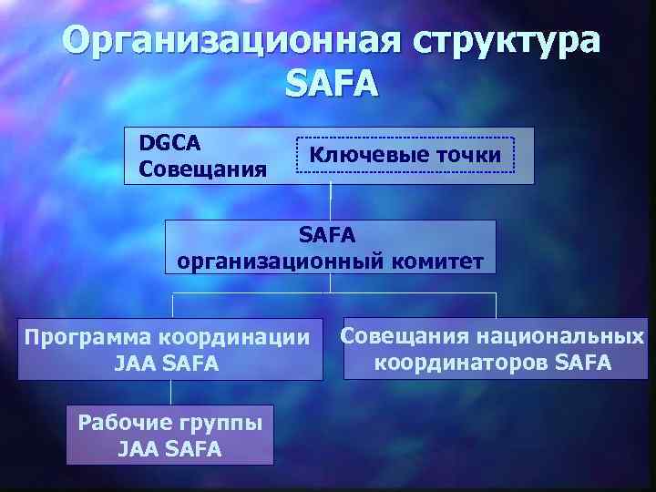 Организационная структура SAFA DGCA Совещания Ключевые точки SAFA организационный комитет Программа координации JAA SAFA