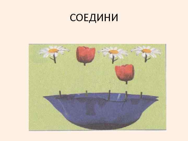 СОЕДИНИ 