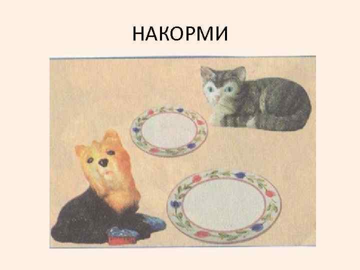 НАКОРМИ 