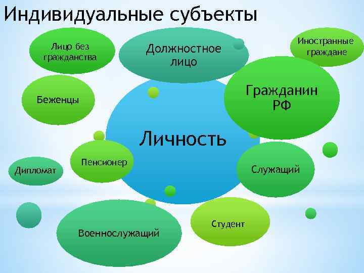 Индивидуальные субъекты Лицо без гражданства Должностное лицо Иностранные граждане Гражданин РФ Беженцы Личность Дипломат