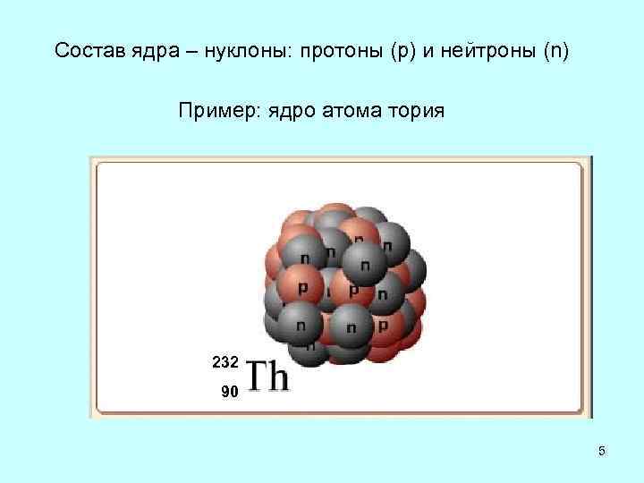 Сколько нуклонов содержится в ядре тория