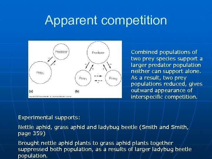 Apparent competition Combined populations of two prey species support a larger predator population neither