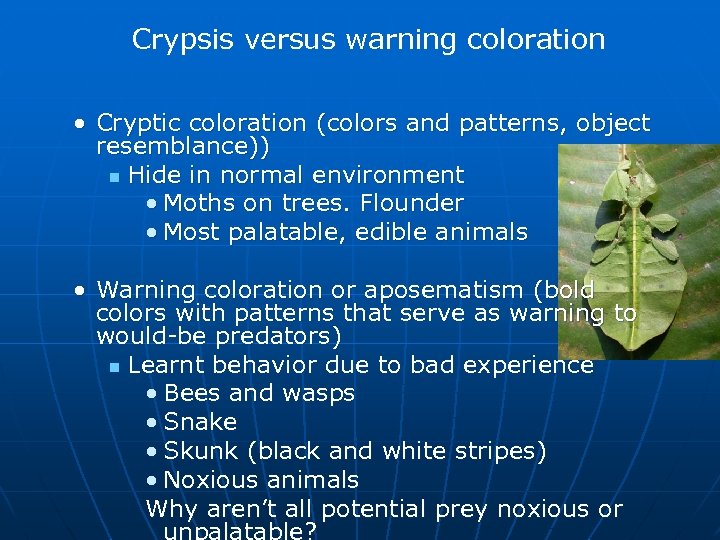 Crypsis versus warning coloration • Cryptic coloration (colors and patterns, object resemblance)) n Hide
